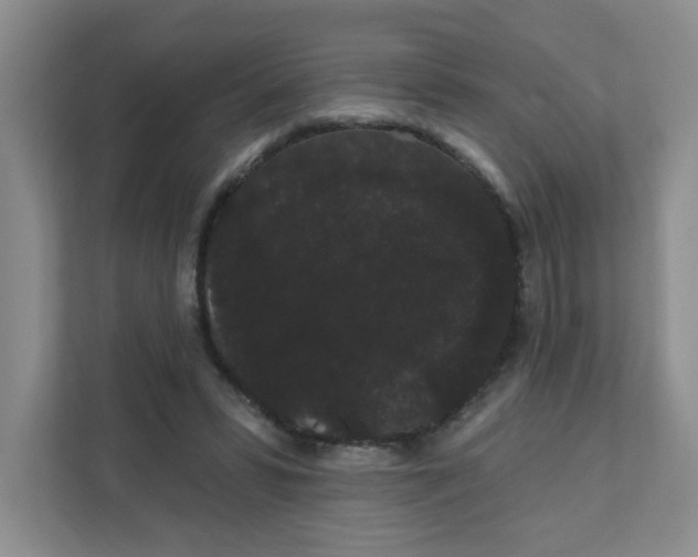X0000111420399200908031309