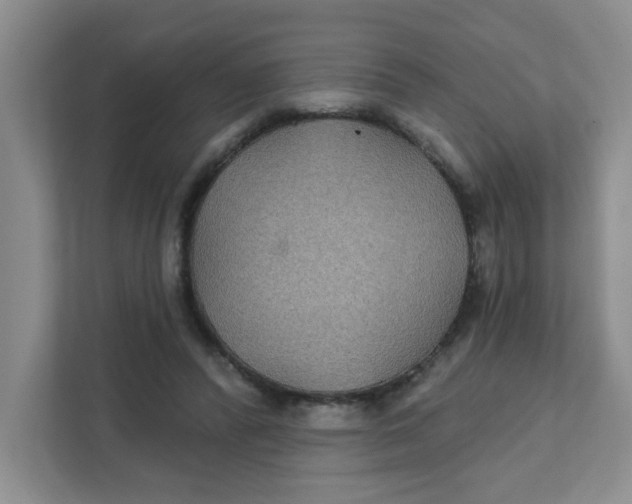X0000111420400200908031309