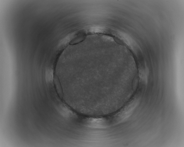 X0000111420401200908031309
