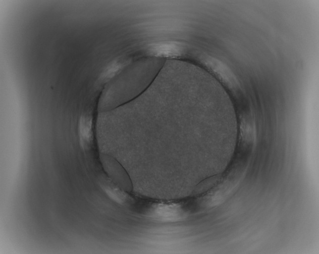 X0000111420403200908031309