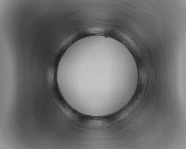 X0000111420404200908031309