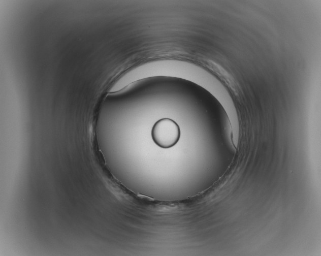 X0000111420405200908031309