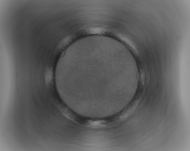 X0000111420407200908031309