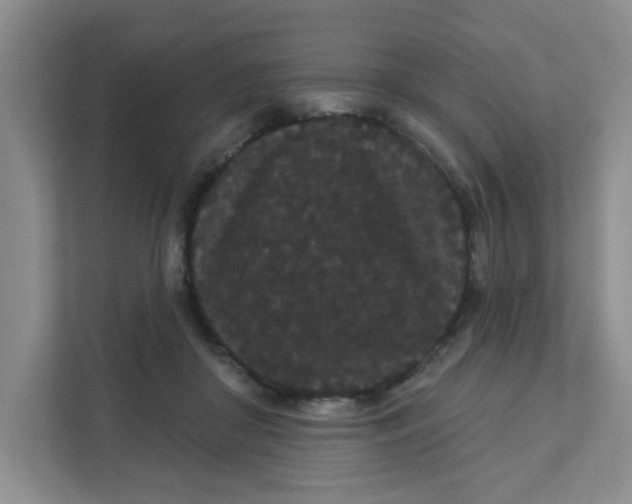 X0000111420410200908031309
