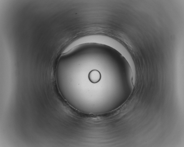 X0000111420411200908031309
