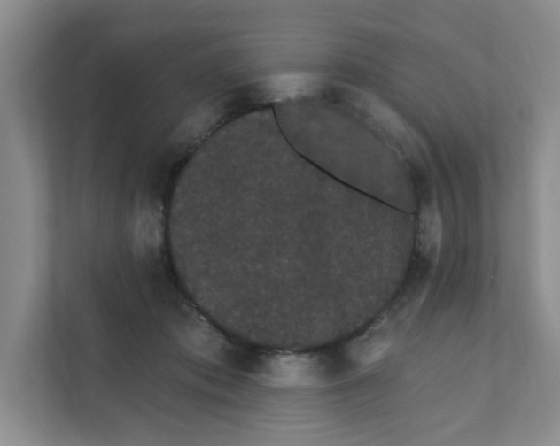 X0000111420413200908031309