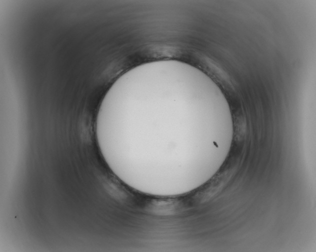 X0000111420414200908031309