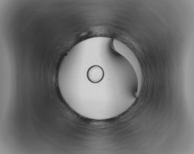 X0000111420417200908031309