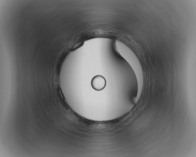 X0000111420419200908031309