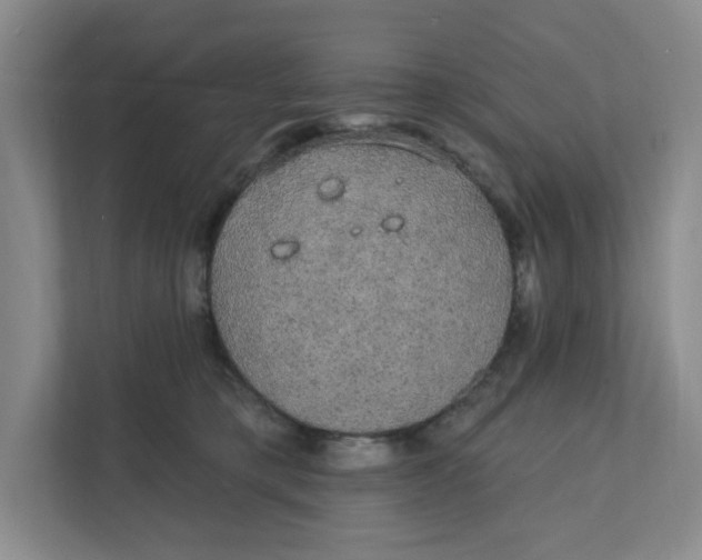 X0000111420421200908031309