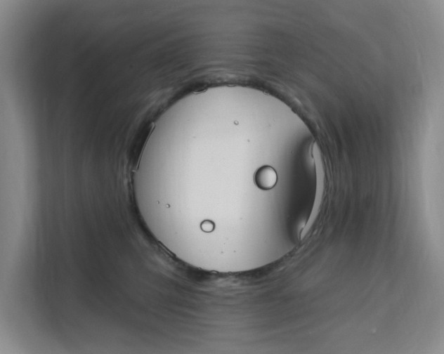 X0000111420423200908031309