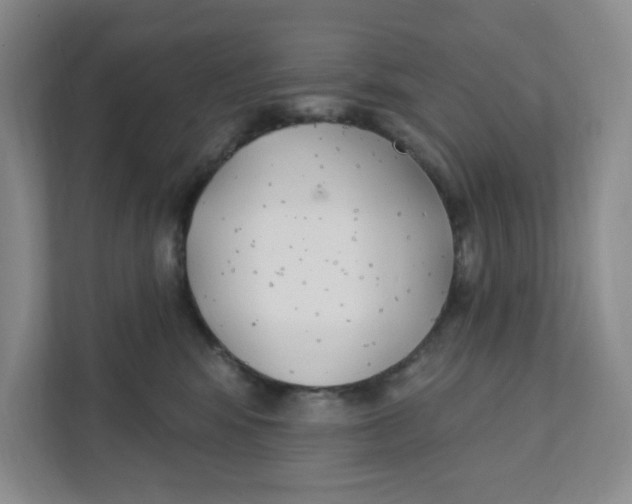 X0000111420424200908031309