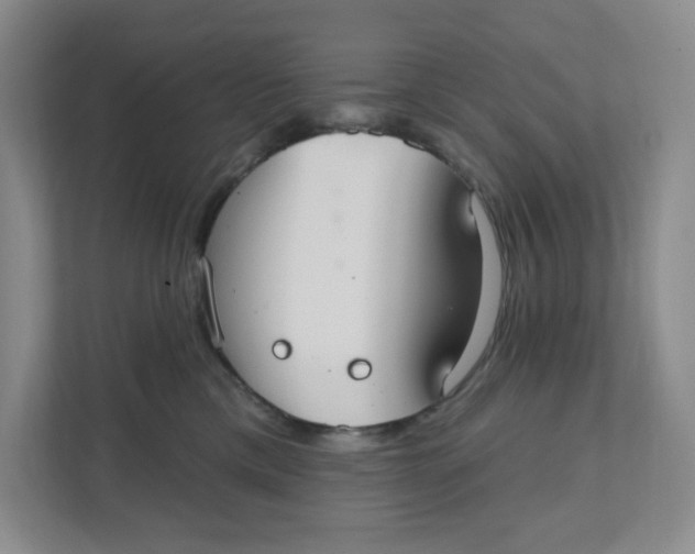 X0000111420425200908031309