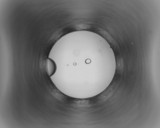 X0000111420426200908031309