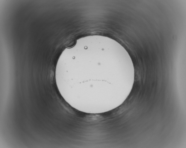 X0000111420427200908031309