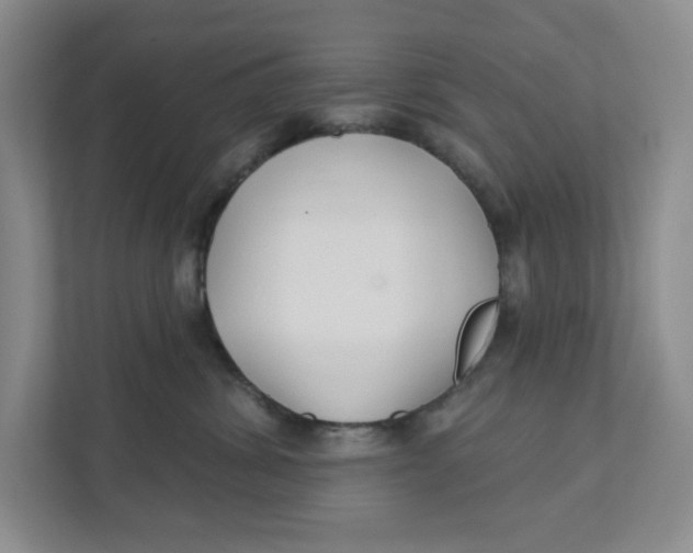 X0000111420428200908031308