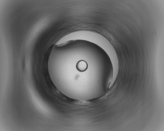 X0000111420429200908031308
