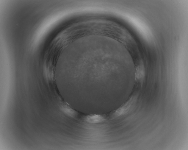 X0000111420431200908031308
