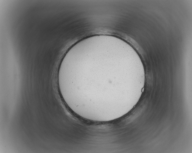 X0000111420433200908031308