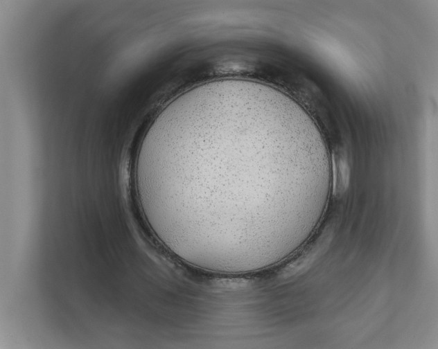 X0000111420435200908031308