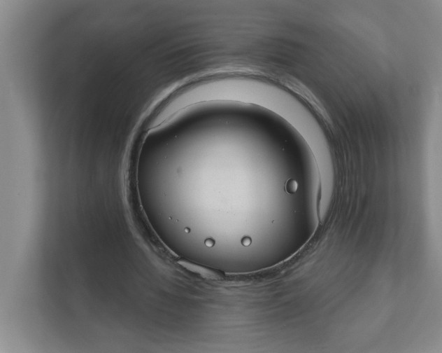 X0000111420436200908031308