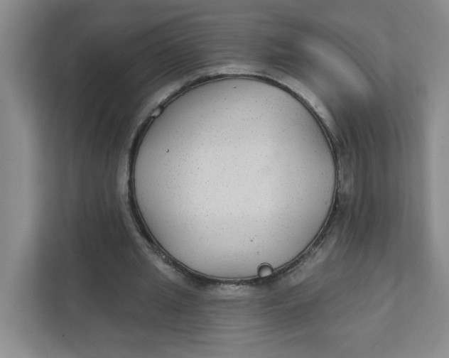 X0000111420437200908031308