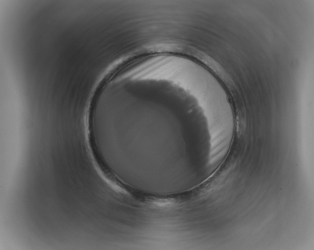 X0000111420438200908031308