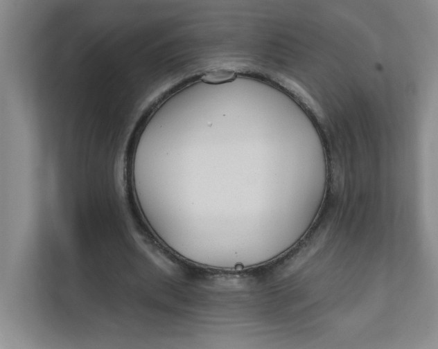X0000111420439200908031308