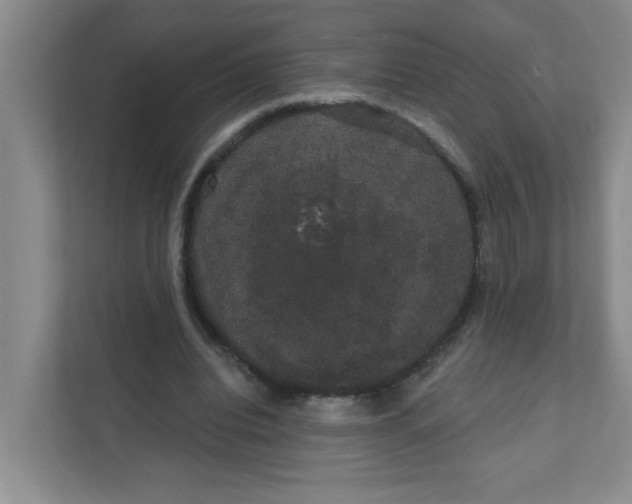 X0000111420440200908031308
