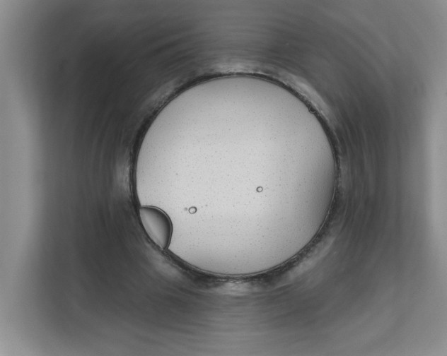 X0000111420441200908031308
