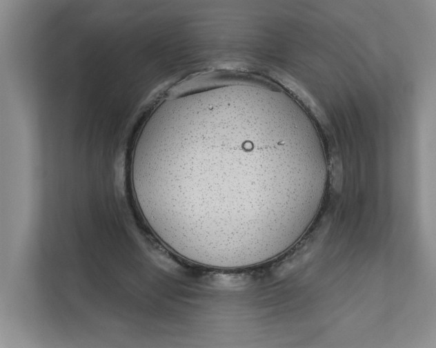 X0000111420442200908031308