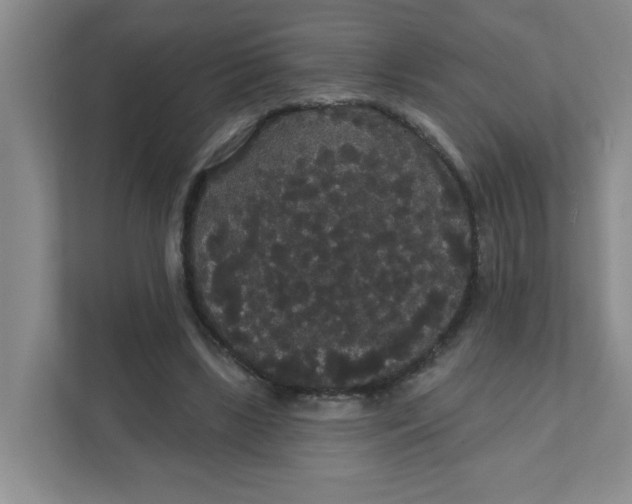 X0000111420443200908031308