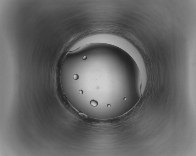 X0000111420444200908031308