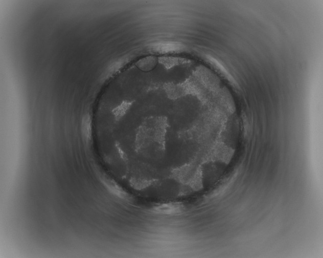 X0000111420447200908031308