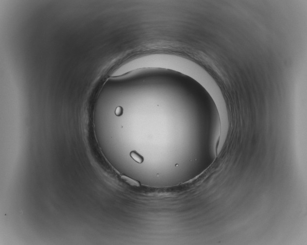 X0000111420448200908031308