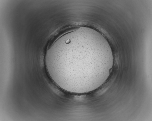X0000111420450200908031308