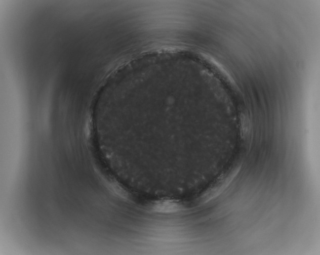 X0000111420451200908031308