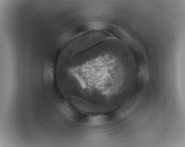 X0000111420452200908031308
