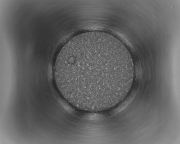 X0000111420453200908031308