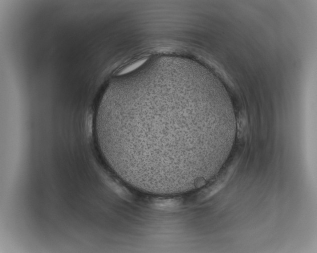 X0000111420454200908031308