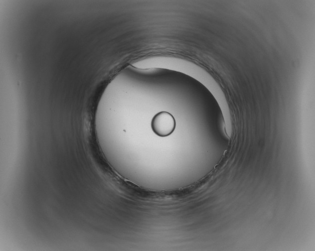 X0000111420456200908031308