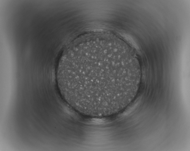 X0000111420457200908031308