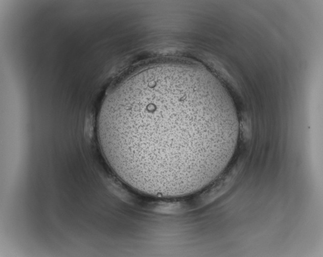 X0000111420458200908031308