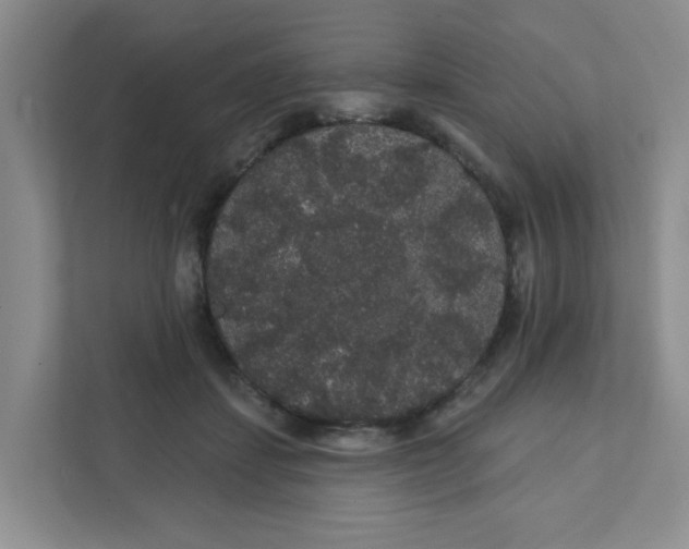 X0000111420459200908031308