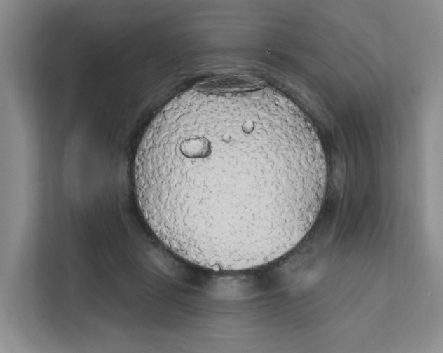 X0000111420461200908031308