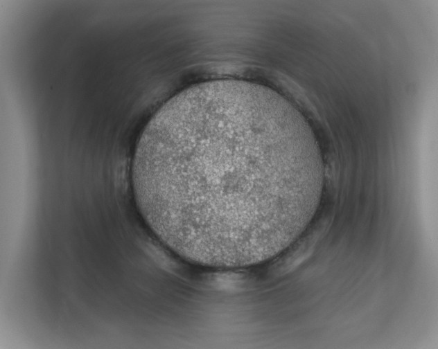 X0000111420462200908031308