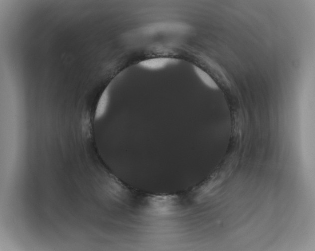 X0000111420465200908031308