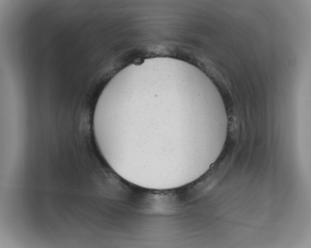 X0000111420466200908031308