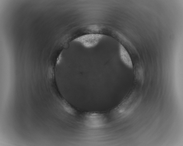 X0000111420467200908031308