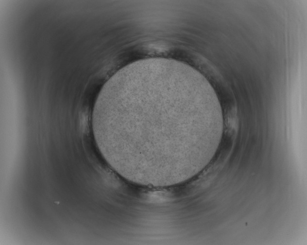 X0000111420468200908031308